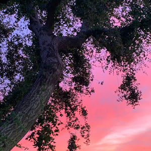 Meet your Posher, Jaylene